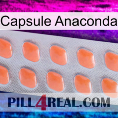 Anaconda Capsule 26